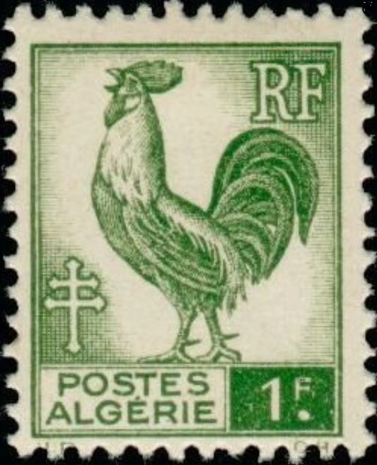 Coq d'Alger
