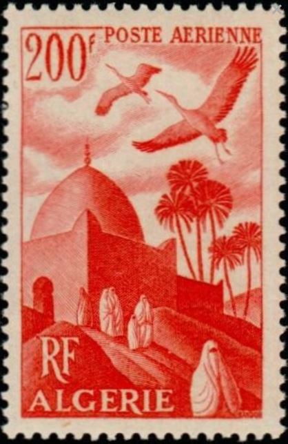 visite de Marabout ORAN - KENADSA