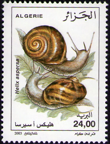 Escargots Helix aspera
