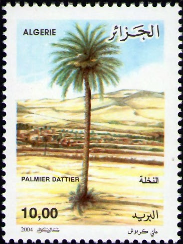 Palmier dattier - Journée Mondiale de l'Arbre