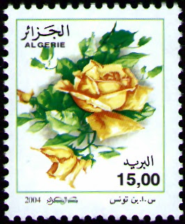 Rosa Odorata