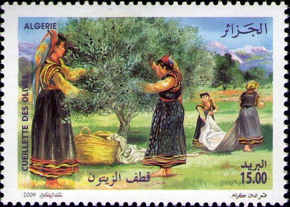 Oléiculture Algérienne
