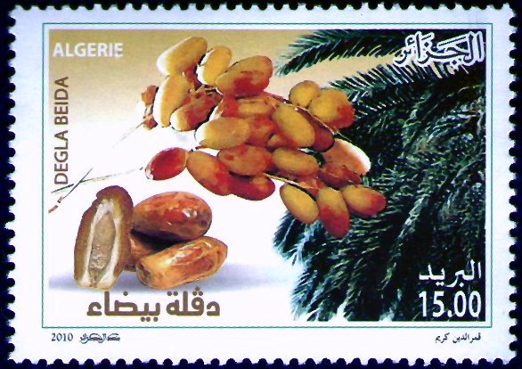 Degla Beida