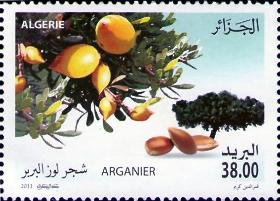 Arganier