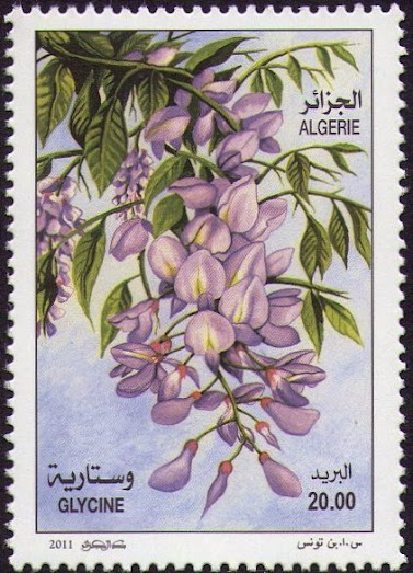 Glycine