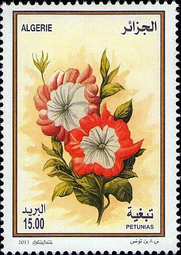 Petunia