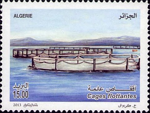 Cages flottantes sur lac artificiel - Pisciculture